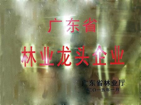    	         	2015年1月，紅古軒當(dāng)選為“廣東省林業(yè)龍頭企業(yè)”   